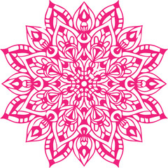 Beautiful flower art and mandala vector design