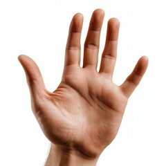 High Resolution Hand Gesture Stop Sign Open Palm Human Hand