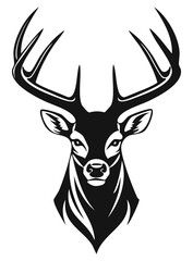 Whitetail Deer Buck Illustration