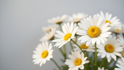 Fototapeta premium Large bouquet of field chamomiles in a vase on a white background 