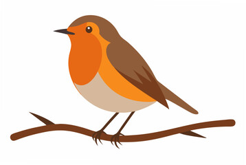 robin on a branch © Sumon