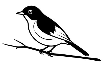 illustration of a bird