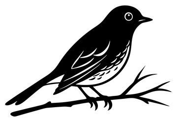 bird on a branch
