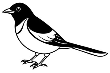 bird on a branch