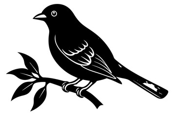 bird on a branch