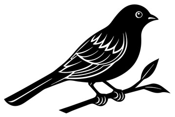 silhouette of a bird