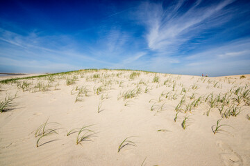 Costa Nova dunes, Beira Litoral, Portugal, Europe