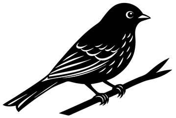 bird isolated