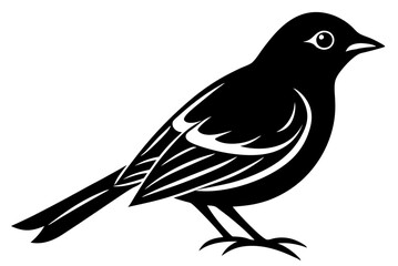 illustration of a bird