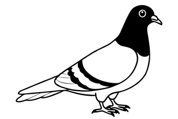 dove of peace