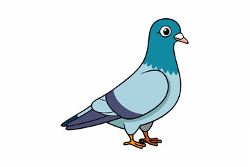 pigeon