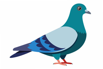 illustration of a pigeon