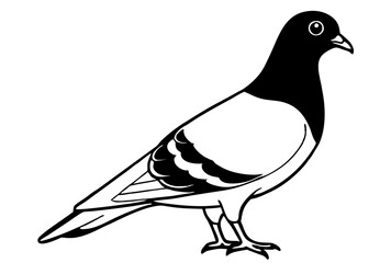 dove of peace