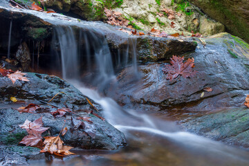 Cascada entre rocas con hojas de otoño. Agua fluyendo con efecto seda. Naturaleza otoñal,...
