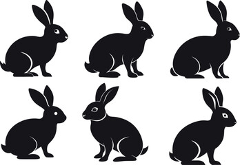Obraz premium set of rabbit