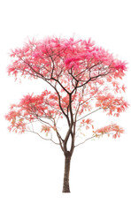 Naklejka premium Stunning Pink Tree in Springtime Nature