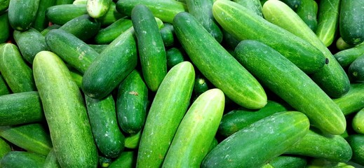 Fresh green cucumbers fruit or timun background for sale at traditional market