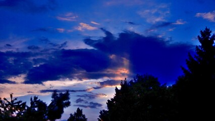 Colorful abstract illuminated evening sky with clouds and black branches trees on windy weather - composition in blue, orange and pink colors. Topics: weather, climate, atmosphere, meteorology