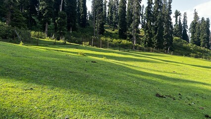 After the Pahalgam Attack on April 22, 2025, Tourists Flee Kashmir, Departing by Flights and Roads Amid Deep Unrest