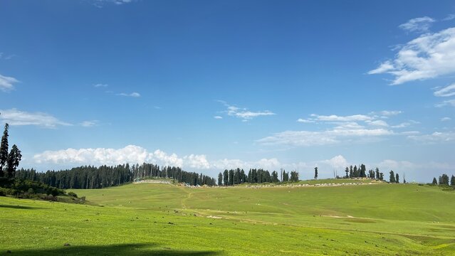 After the Pahalgam Attack on April 22, 2025, Tourists Flee Kashmir, Departing by Flights and Roads Amid Deep Unrest