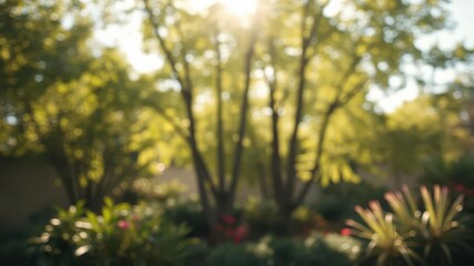 Soft focus sunlit garden trees, bokeh background, blurry, branches