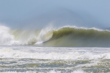 Dia de surf na Praia Brava