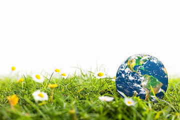 Fototapeta premium Greeting card with holiday composition for world environment day