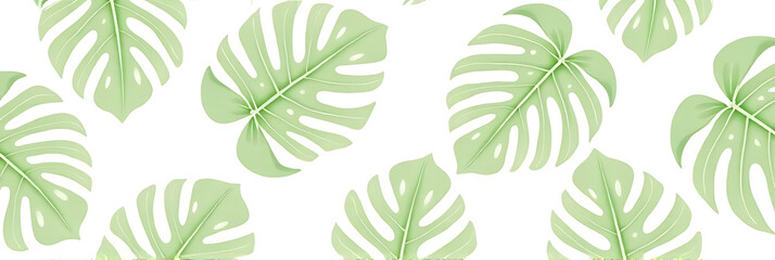 Fototapeta premium A real tropical monstera leaf pattern is designed in a subtle white background with a natural and effortless aesthetic feel._00002_