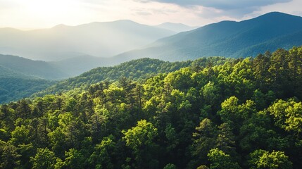 Fototapeta premium Sun-kissed mountain range with lush greenery and serene sky.