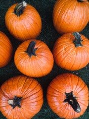 pumpkins on a market