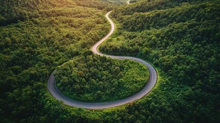 Serpentine Road Through Lush Green Forest Landscape at Sunset