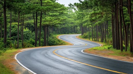 Winding Road Through Lush Green Forest in Scenic Landscape