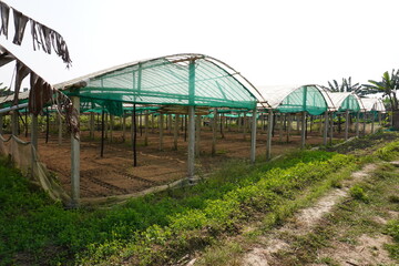 Green house located beside the agricultural field