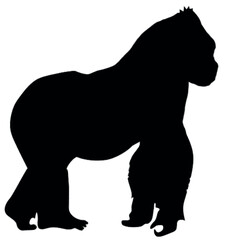 Illustration of Gorilla silhouette