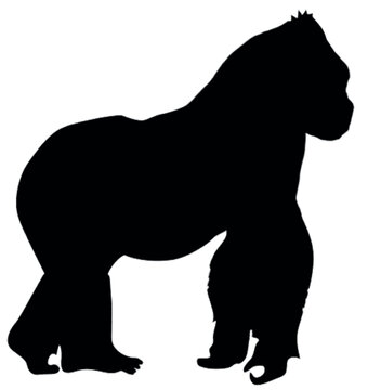 recommend clip art: Illustration of Gorilla silhouette