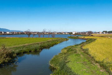 秋の湖の風景　滋賀県草津市　平湖