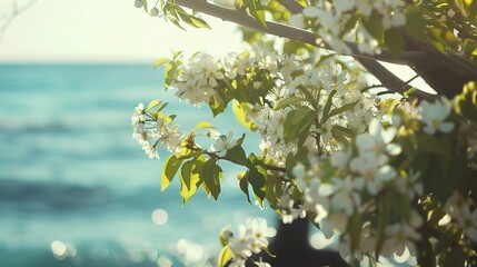 Enchanting Spring Seaside Backdrop: Azure Waves, Golden Sands, Seagulls Soaring, Beachcombing, Sunlit Shores, Coastal Breezes, Seashell Treasures, Vacation Vibe, Ocean Horizon, Dune Landscapes & More