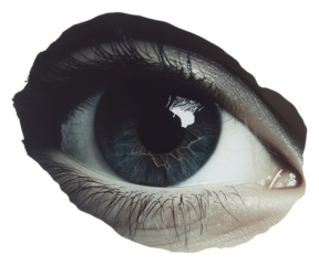 PNG Eye photography portrait metaphor.
