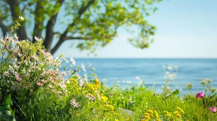 Obraz premium Enchanting Spring Seaside Backdrop: Azure Waves, Golden Sands, Seagulls Soaring, Beachcombing, Sunlit Shores, Coastal Breezes, Seashell Treasures, Vacation Vibe, Ocean Horizon, Dune Landscapes & More