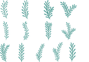 Brunch of fern leaves or seaweed illustration for decoration on tropical plant and nature concept.