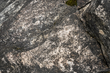 Close-Up Of Moss Growing On Rock Surface