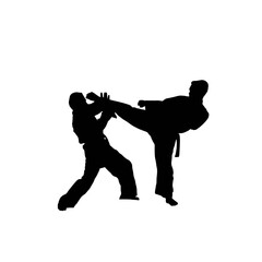 silhouette of martial art 