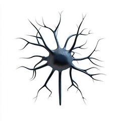 Detailed Representation of a Neuron with Complex Dendritic Structure for Scientific Illustration