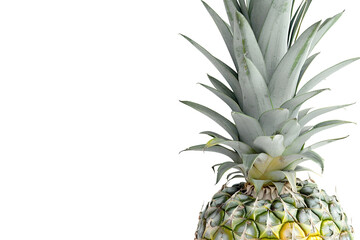 Exotic Pineapple Fruit with Golden Yellow Skin and Green Leaves isolated on transparent background