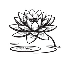 Water Lily icon vector