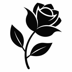 black and white flower