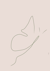 Beautiful butterfly pattern illustration