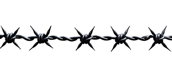 Barbed wire isolated on a white or transparent background