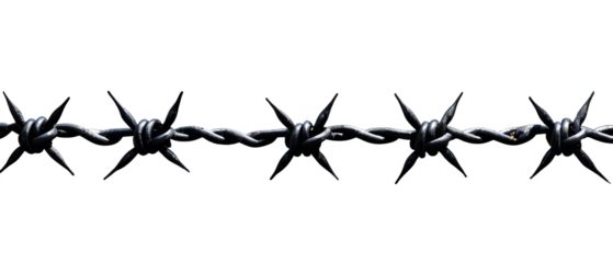 Barbed wire isolated on a white or transparent background