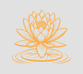 Water Lily icon vector